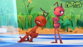 Joey & Boo Want Cake… But It’s Stuck! 🫧 +60 Minutes of Antiks by Oddbods | Party Playtime!
