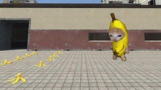 Banana Cat Nextbot vs Banana Peel #gmod