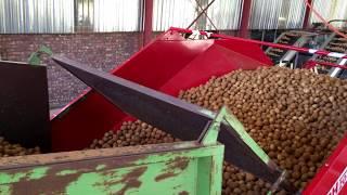 Dormas | Potato and Potato seed Handling Equipment - Northern Cape 2015