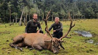 Hunting Fiordland, Wild Natives Wapiti 2022