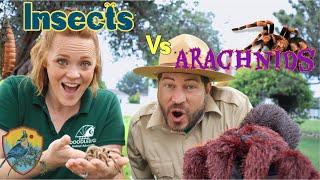 Insects And Arachnids for Kids | Educational Videos for Kids