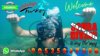 Kemer Scuba Diving Tour BEST PRICE for Beginner Experienced Divers Transfer from Antalya