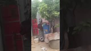 Aaj ka vlog #kesa#hai mini vlog #Deepak vlogs#vlog trending
