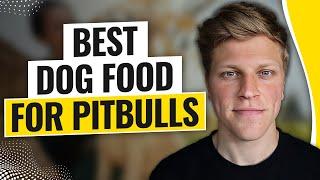 Best Dog Food for Pitbulls (2024)