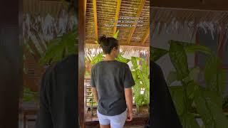 The Hemp Raglan Tee