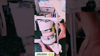 𝐌𝐨𝐮𝐧𝐭𝐢𝐧𝐠 the casts on a mean value articulator    #dmaxdentallab