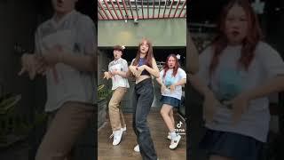 Tổng hợp video HOT TREND TIKTOK - "HOMIE BÁO HỒNG"