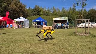 Roboterhund Spot verteilt auf dem Jenaer Schottplatz kleine Geschenke an die Besucher