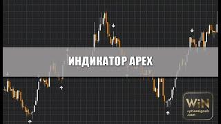 Индикатор APEX для бинарных опционов. Статистика за один день