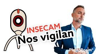 LAS WEBCAMS NOS VIGILAN? Si. INSECAM