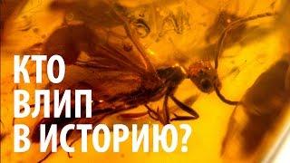 КТО ВЛИП В ИСТОРИЮ? Ярослав Попов | Палеонтологические истории #005