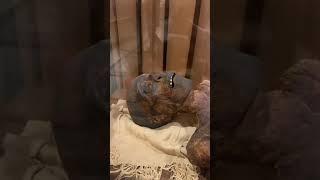 MUMMY Of Pharaoh | Firon MUMMY