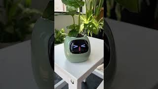 This pot saved my plants… ️