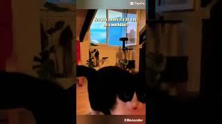 Karen cat #cat #karen ￼
