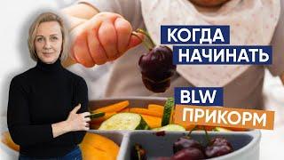 Когда начинать BLW прикорм