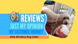 HOW TO Train your dog for the Halo Dog Collar a GPS Wireless fence