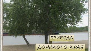 Природа Донского края.