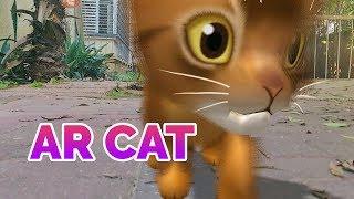 Virtual Cat Simulator Game in 3D/AR - Super Cute Kittens!