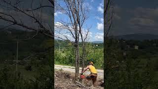 Wood #woodscraft #chainsaw #farming #craft #nature #lifehacks #wood