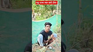 jush pie deni new sambalpuri short comedy #trending #youtubeshorts #sambalpurijocks