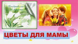 Цветы для мамы