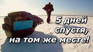 ПашАсУралмашА:-"5 дней спустя, на том же месте"!