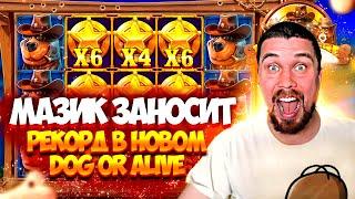 МАЗИК ЗАНОСИТ В DOG OR ALIVE! ПОСТАВИЛ ЛИЧНЫЙ РЕКОРД! #мазик #заносынедели