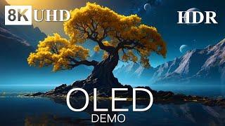 OLED DEMO: 8K HDR Screen & Internet Speed Test