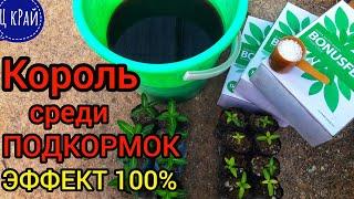 СУПЕР МОЩНЕЙШАЯ ПОДКОРМКА для рассадыкоторая тормозит в росте. СУПЕР ЭФФЕКТИВНО НО НЕМНОЖКО ДОРОГО.