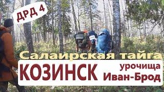 По урочищам КОЗИНСК и ИВАН-БРОД. Салаирская тайга. Осенний выход в тайгу сообщества ДРД4. Серия 1.