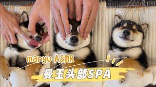 【ASMR】Manyu's Head Spa | Weekly Cleaning (Wear Headphones)