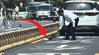 A frightened cat accidentally ran onto the highway, and a kind driver carefully guided him to safety