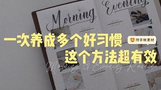 【习惯养成】一次养成多个好习惯，这个方法亲测有效｜Morning & Evening Routine