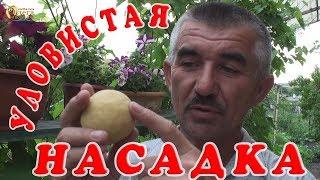 УЛОВИСТАЯ МАСТЫРКА. САМЫЙ ПРОСТОЙ РЕЦЕПТ. ЛАЙФХАК