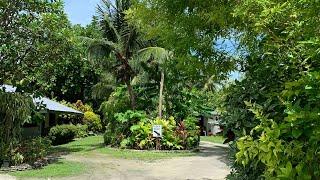 Garden tour of my family home in Kiribati