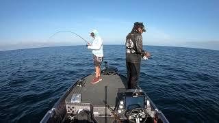 Fishing a Bass Fishing Tournament