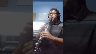 Sunflower - Swae Lee and Post Malone (Clarinet Cover by E.L. Anderson)