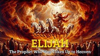 The Story of Elijah - He Was Taken to Heaven by a Chariot of Fire | Bible Stories