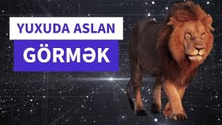 Şir yuxuda nece yozulur - Yuxuda aslan görmək