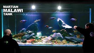 Martian Malawi Cichlid Aquarium (aquascape tutorial)