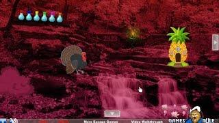 Wild Turkey Fairyland Escape walkthrough Games2Rule.