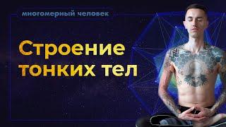 Из чего состоит человеческое тело? Что такое человек с точки зрения энерготерапевта?