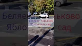 #беляево #коньково #яблоневыйсад #москва #путешествия #путешествие #россия #красногорск #серпухов
