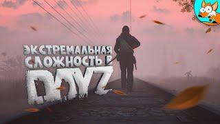 Экстремальные условия выживания в DayZ