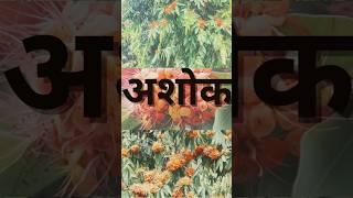 Ashoka dravya 2 nd yr bams #ayurveda #biology #bams #facts #dravya #dravyaguna #education #student