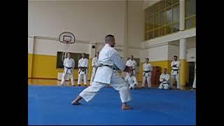 Saifa bunkai Nuno Cardeira