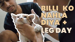 Leg day + billi ko nahla diyaa