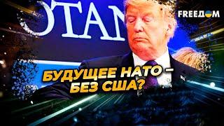 Трамп ШОКИРОВАЛ НАТО! США могут выйти из Альянса? Будущее КОЛЛЕКТИВНОЙ БЕЗОПАСНОСТИ