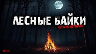 Лесные байки (6в1) Выпуск №12