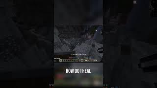 Surviving the Chaos  Quick Healing Guide & Escape!